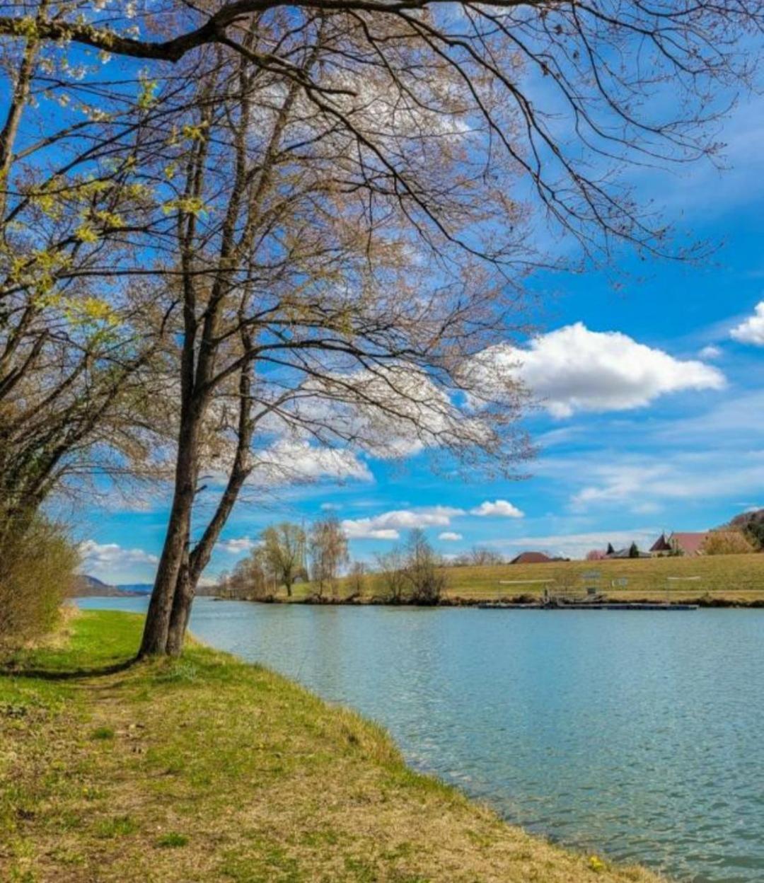 Apartment An Der Donau *